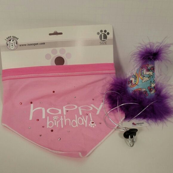 Birthday Bandana & Party Hat - Picture 1 of 4